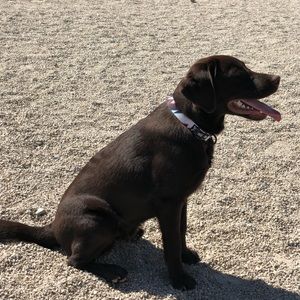 Meet your Posher, Joseph